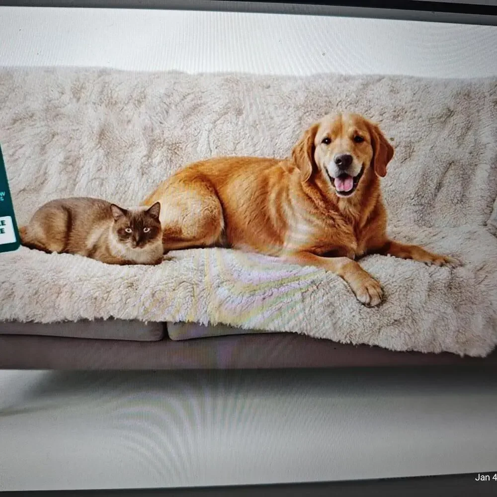 Waterproof Throw Blanket for Dogs & Indoor Cats, Reversible XLARGE Dark Brown